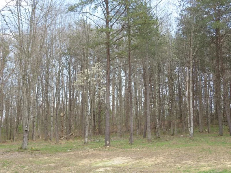 Property Image 25