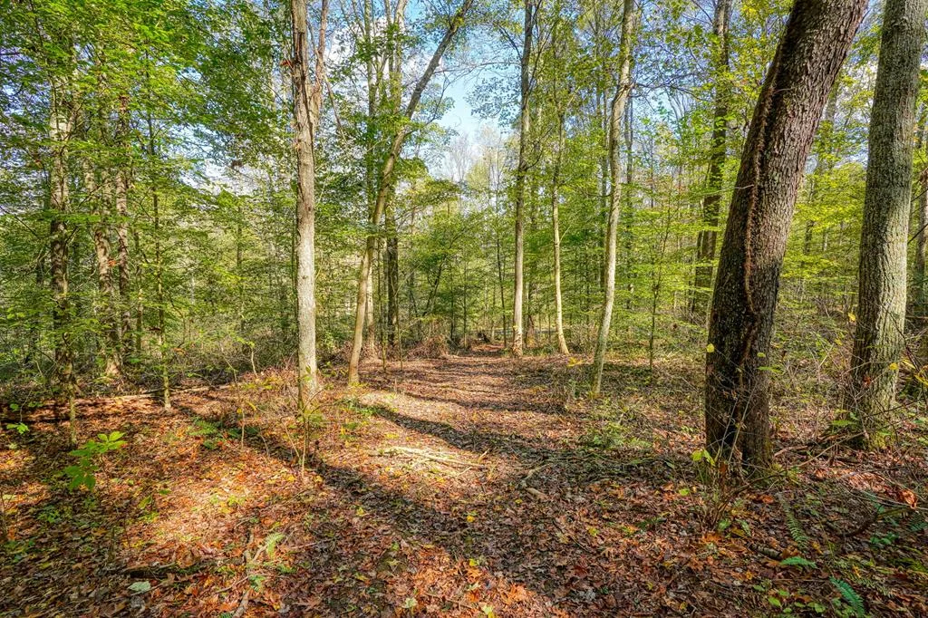Property Image 52