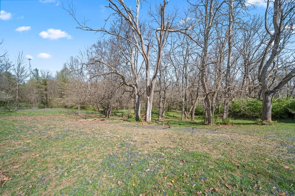 Property Image 56