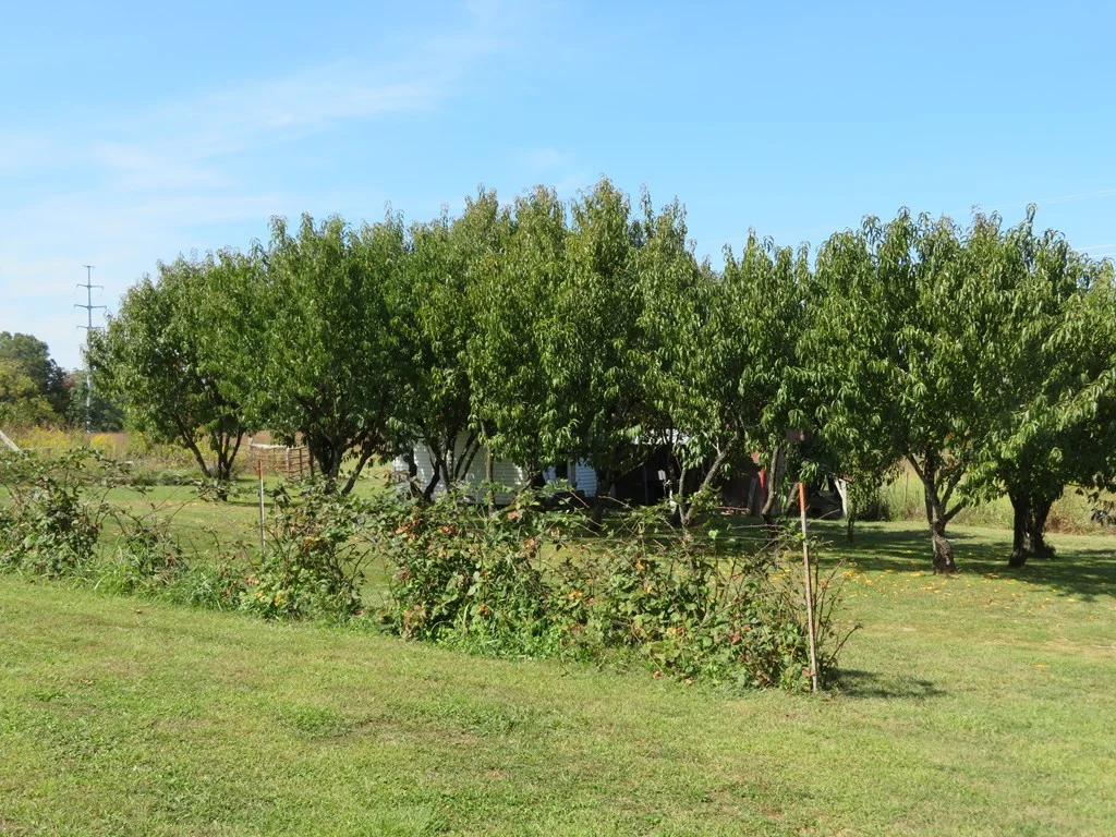 Property Image 37