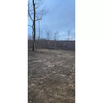 Gallia Blackfork Road Oak Hill OH 45656 Land