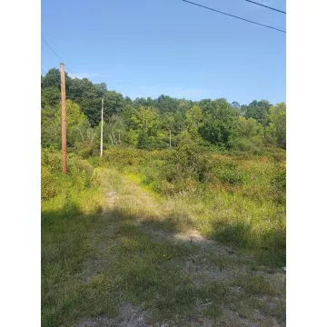 1337 St Rt 140 Oak Hill OH 45656 Land