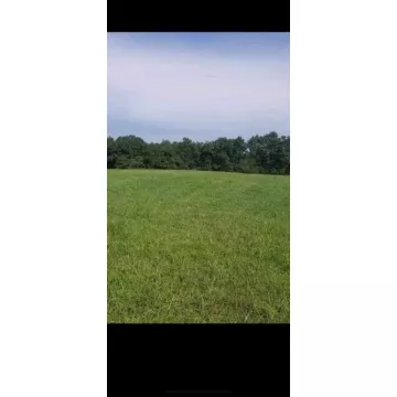 1650 Simmons Road Frankfort OH 45628 Land