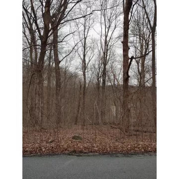 Virginia Lane Waverly OH 45690 Land