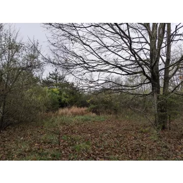 314 Murphy Road Frankfort OH 45628 Land