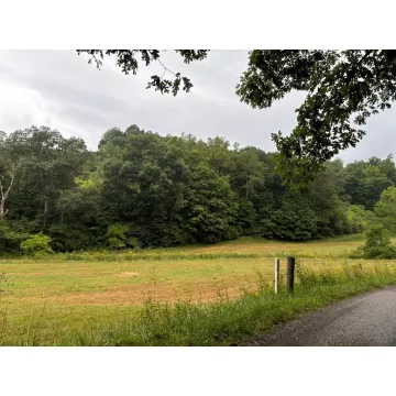 31435 Stevens Branch Rd Londonderry OH 45647 Land