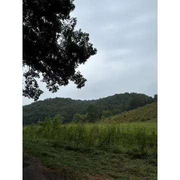 31435 Stevens Branch Rd Londonderry OH 45647 Land