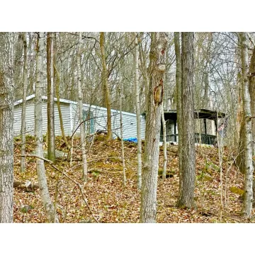 3679 Buchanan Road Waverly OH 45690 Residential