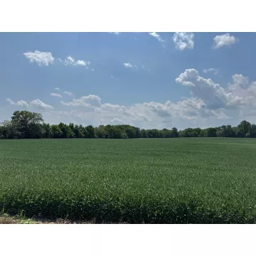Clarksburg Pike New Holland OH 43145 Land