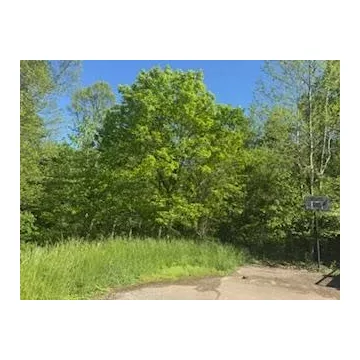 Mitchell Road Wellston OH 45692 Land